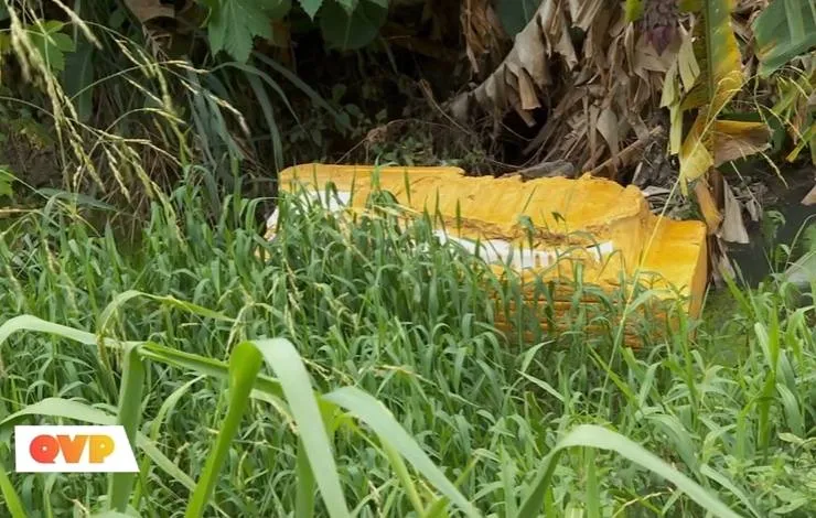 Moradores denunciam 'esgoto a céu aberto' em Mussurunga; assista à reportagem
