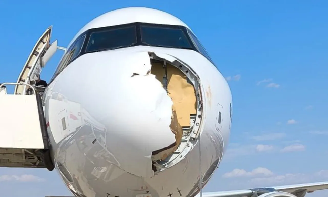 Avião tem frente destruída após colisão com pássaro; veja