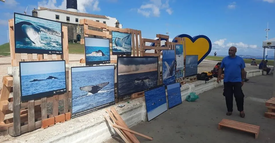 Farol da Barra terá grande abraço humano para celebrar o Dia Mundial da Água