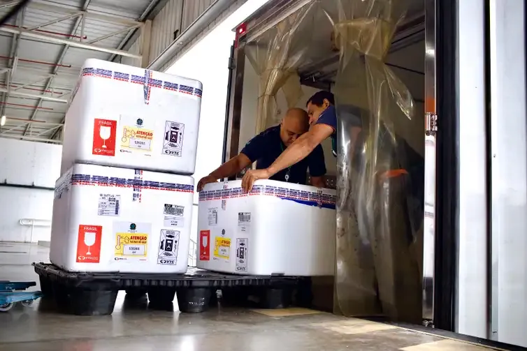 Distrito Federal É a Primeira Unidade Federativa a Receber as Doses Foto João Risi Ms