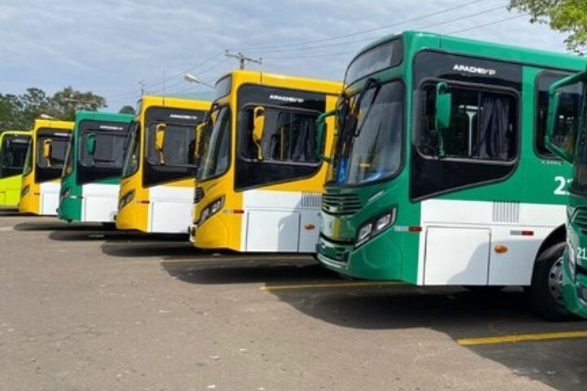 &Ocirc;nibus Salvador Divulga&ccedil;&atilde;o