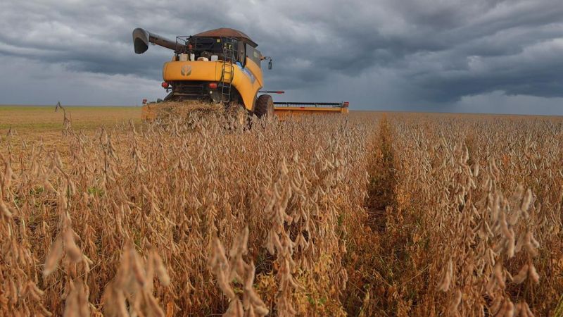 Soja é principal produto exportado pela Bahia | Foto: divulgação/Seagri