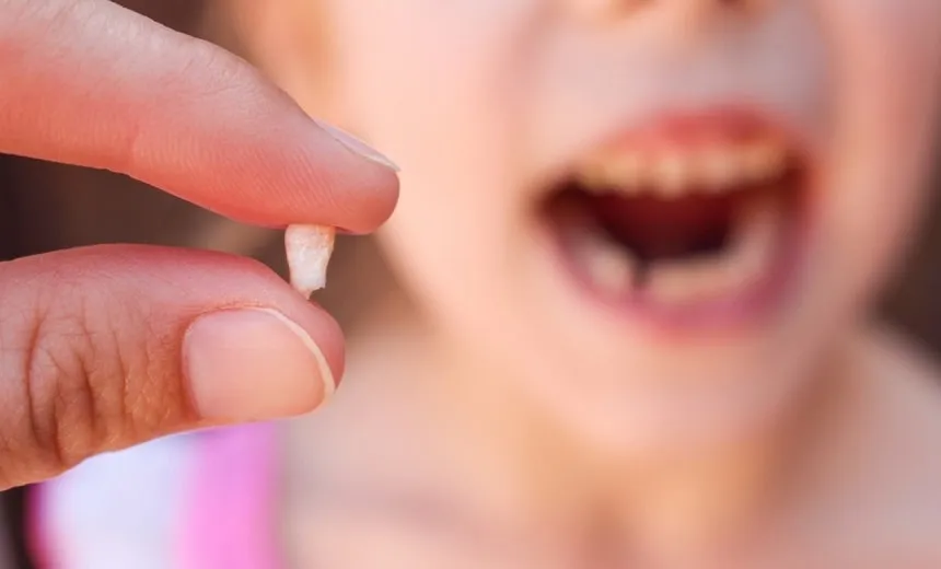 Projeto usa a ?Fada do Dente? para ajudar em pesquisas com células-tronco