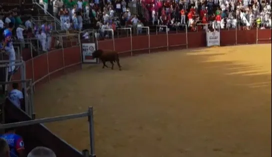 Homem morre após ser atingido por animal em tourada na Espanha; confira o vídeo