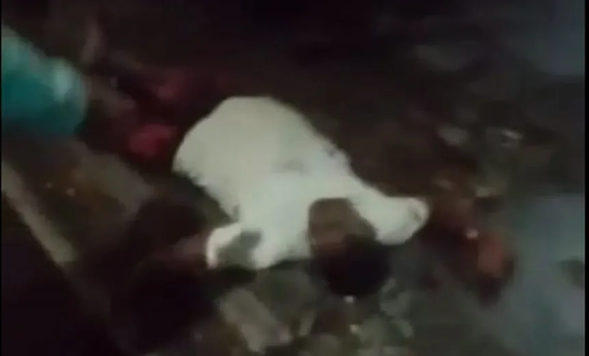 Vídeo: guerra entre facções criminosas caus tiroteio e leva terror ao bairro de Santo Inácio