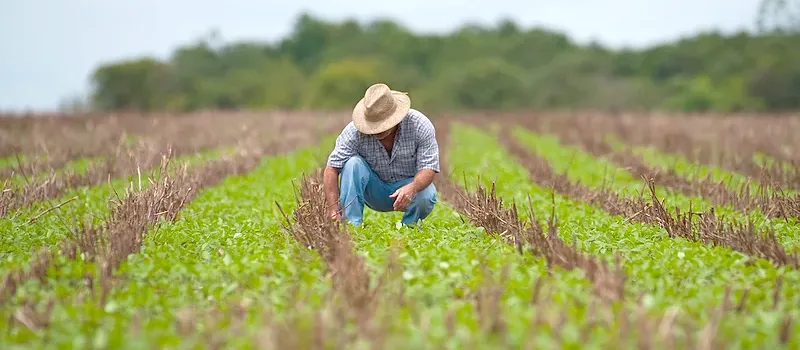 SEM COBRANÇA: Funrural não passa na CCJ e ruralistas comemoram resultado da votação