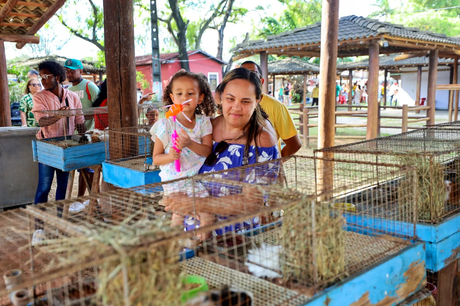 Começa hoje! Fenagro 2025 une campo e cidade em nove dias de exposição