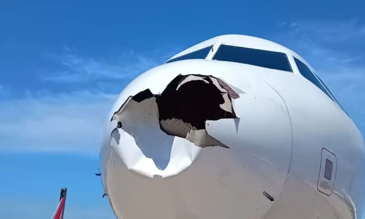 Avião tem voo cancelado após colidir com ave.Foto: Linkedin | Jerome Cadier