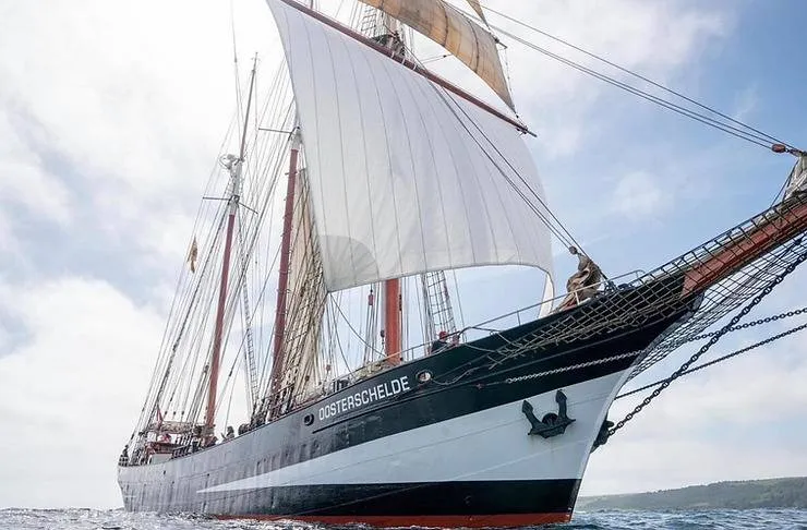 Salvador será destino de expedição que refaz os passos de Darwin; confira a programação
