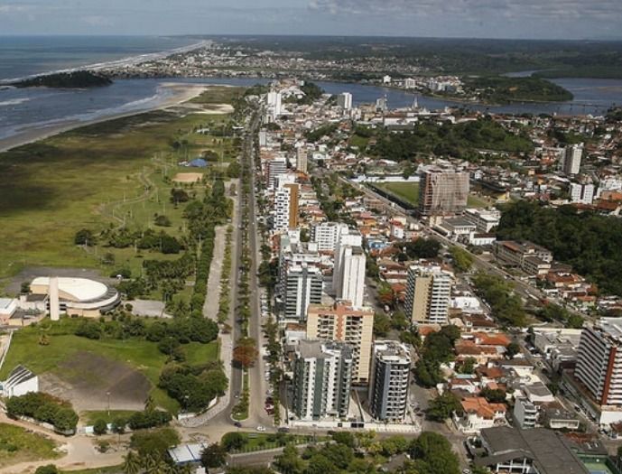 Reprodu&ccedil;&atilde;o Internet