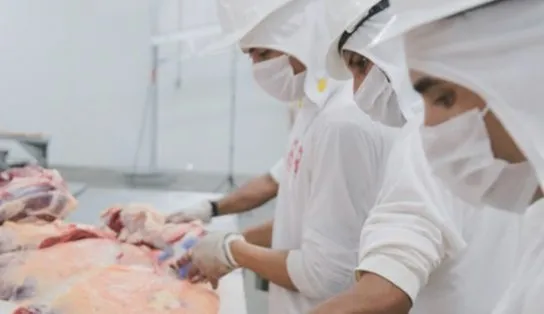 A arte da desossa: etapa impacta diretamente no produto final