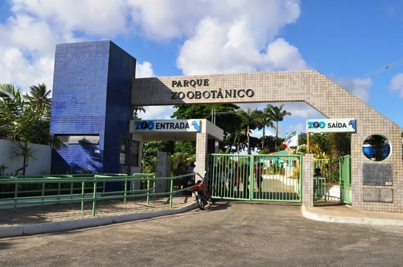 Vista Aérea Do Zoológico De Salvador Veja Espaço Que Será Inaugurado