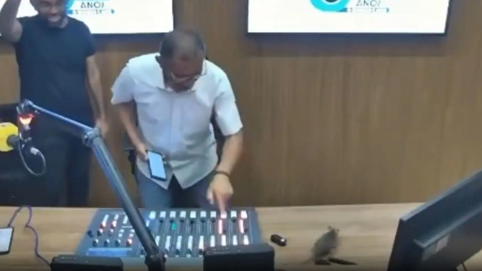 Rato invadiu estúdio