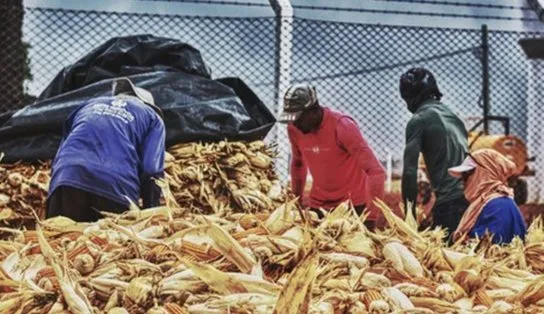 Mais de 100 pessoas são resgatadas de escravidão em fazenda produtora de cigarro; cinco adolescentes estavam no grupo