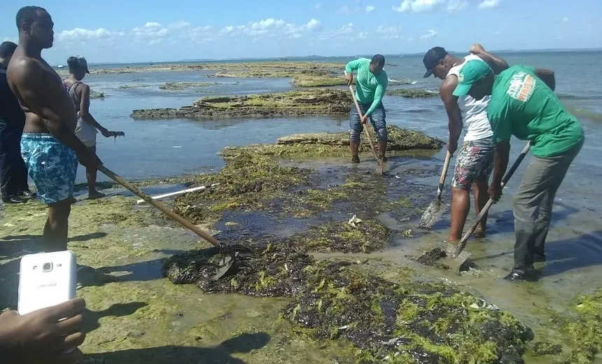 Governo Federal libera R$ 2,5 milhões para Sergipe e reconhece emergência na Bahia por causa do óleo na praia