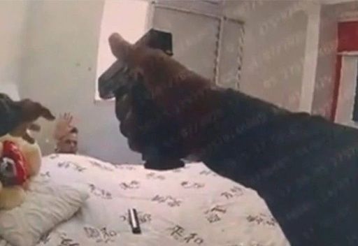 Imagem Da Câmara Corporal De Pm Que Atirou Contra Jovem Rendido Em Paraisópolis