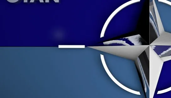 Otan não enviará tropas para lutar ao lado dos ucranianos, diz secretário-geral da organização 