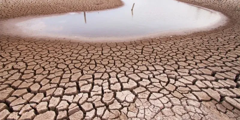 O Sertão da Bahia enfrenta uma seca severa, com impactos significativos na agricultura, pecuária e abastecimento de água, afetando a vida de milhares de pessoas e animais/Foto: Reprodução