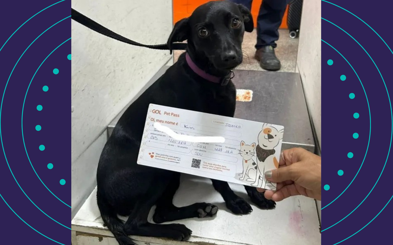 Uma cachorra escapou da caixa de transporte antes de embarcar em um voo com destino ao&nbsp;Rio de Janeiro/Foto: Redes Sociais&nbsp;
