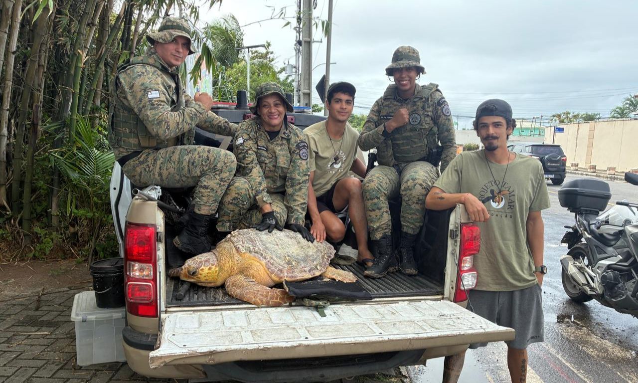 Tartaruga-marinha resgatada em Salvador