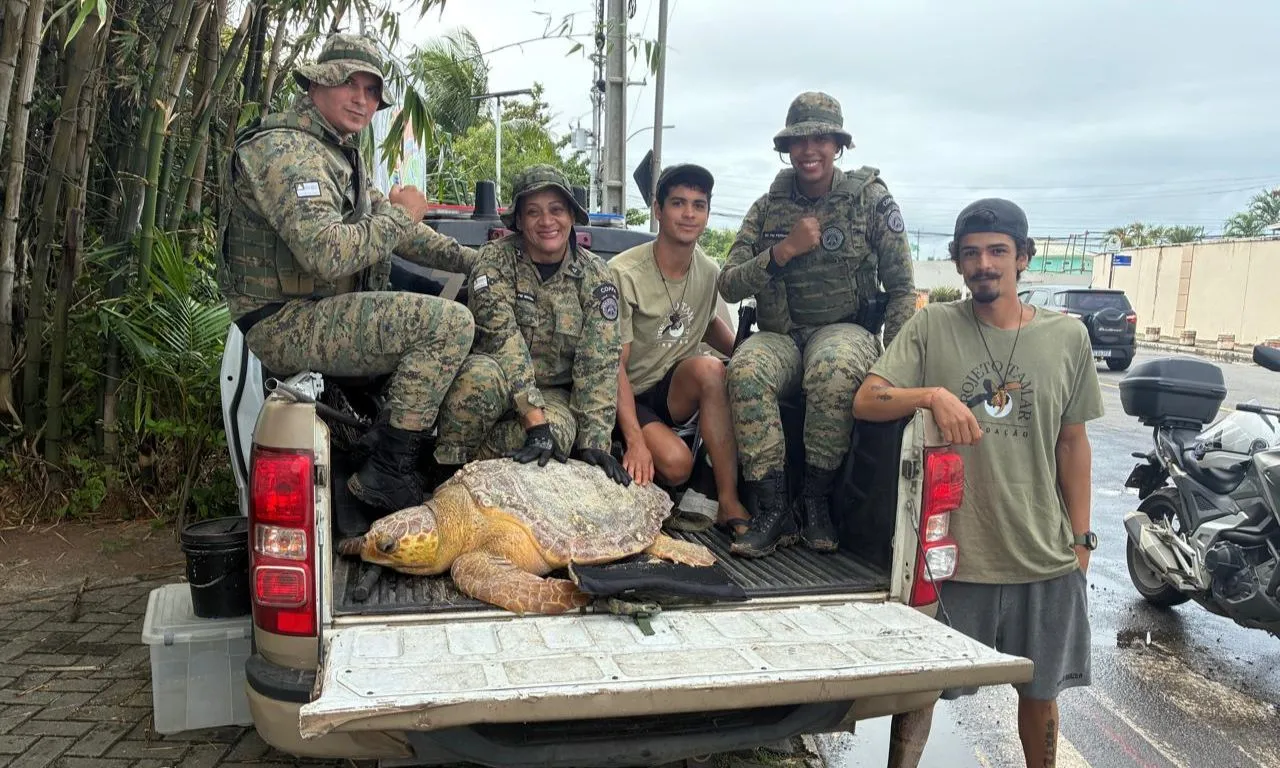 Tartaruga-marinha é resgatada após ser encontrada debilitada em Salvador 