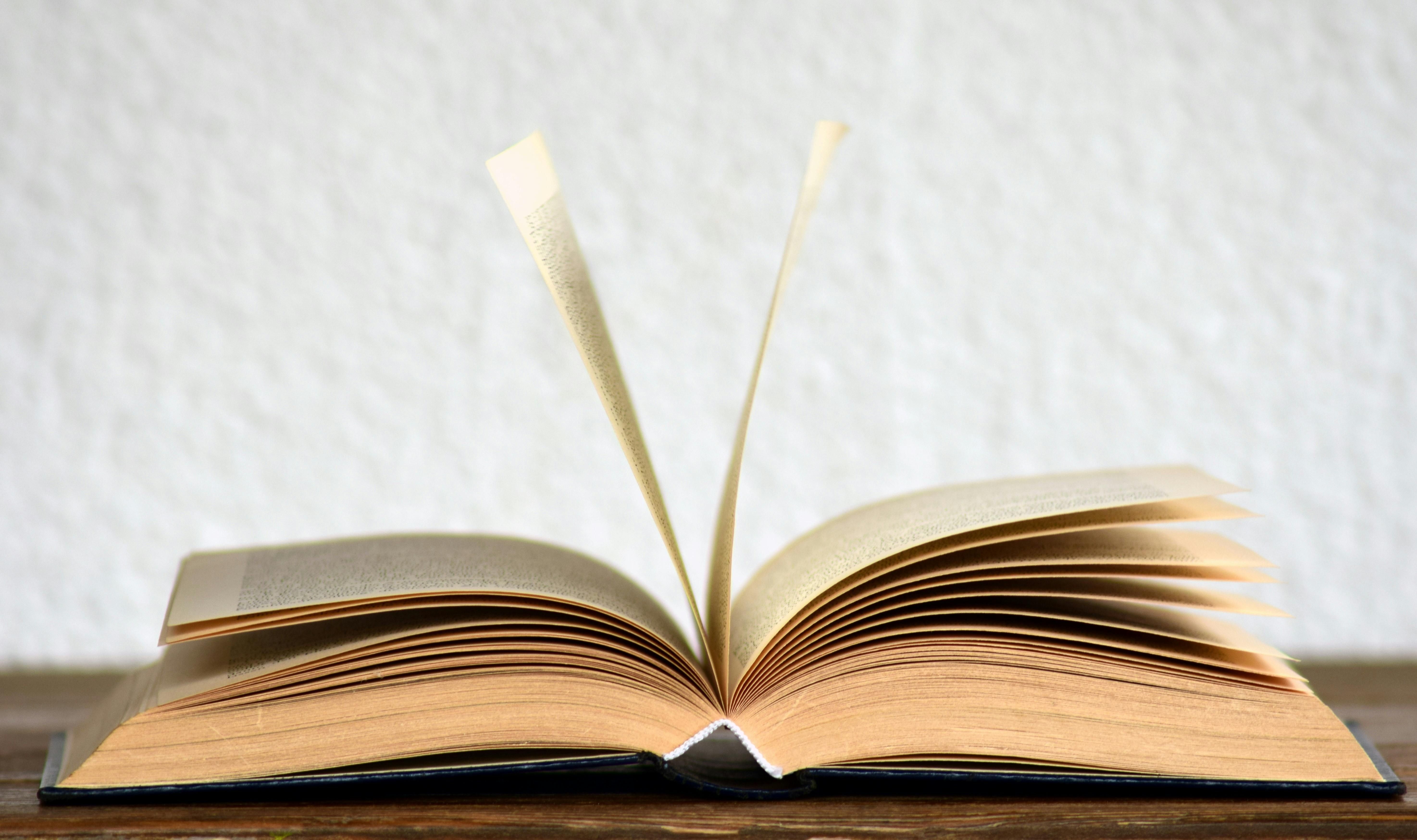 A 7ª edição do projeto Mentes Literárias será realizada no próximo domingo (7). | Foto: Ilustrativa/Pexels