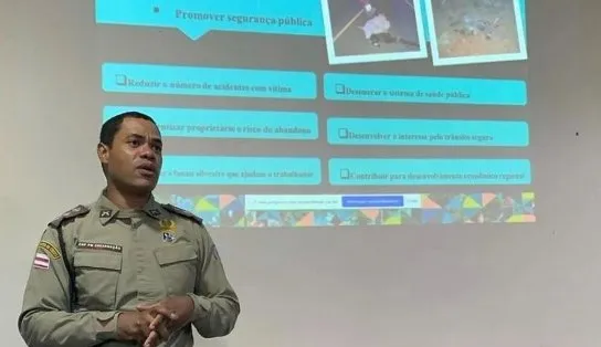 Pista não é pasto: PM apresenta projeto para evitar acidentes com animais