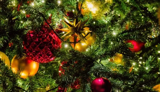 Papai Noel dos Correios: período para adotar cartinhas vai até essa sexta-feira