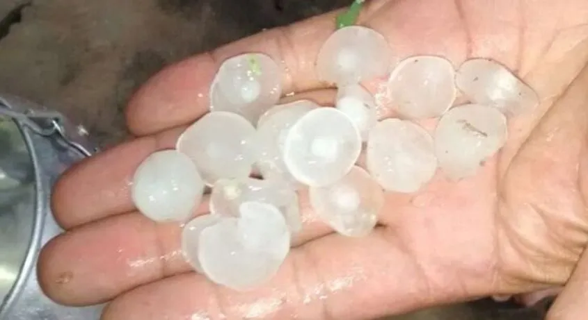 TEMPO, SEU LOUCO: Com máxima de 30°, município no interior da Bahia tem chuva de granizo; Veja vídeo