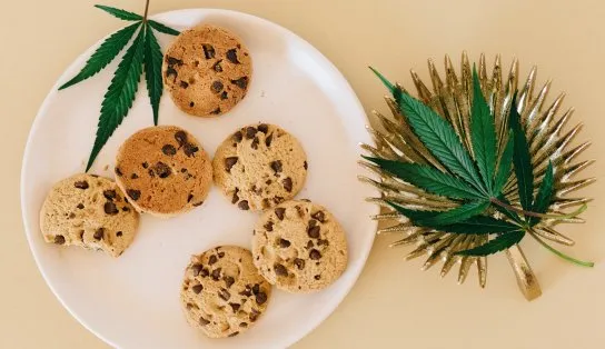 Noiva é presa após servir um buffet com maconha aos convidados de seu casamento; entenda a história