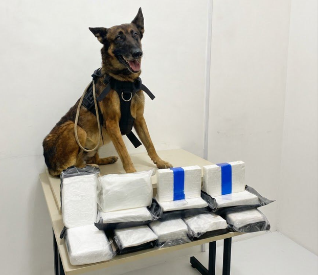 Tr&ecirc;s pessoas s&atilde;o presas com mais de 8 kg de coca&iacute;na ap&oacute;s c&atilde;o policial localizar droga.| Foto: Pol&iacute;cia Militar