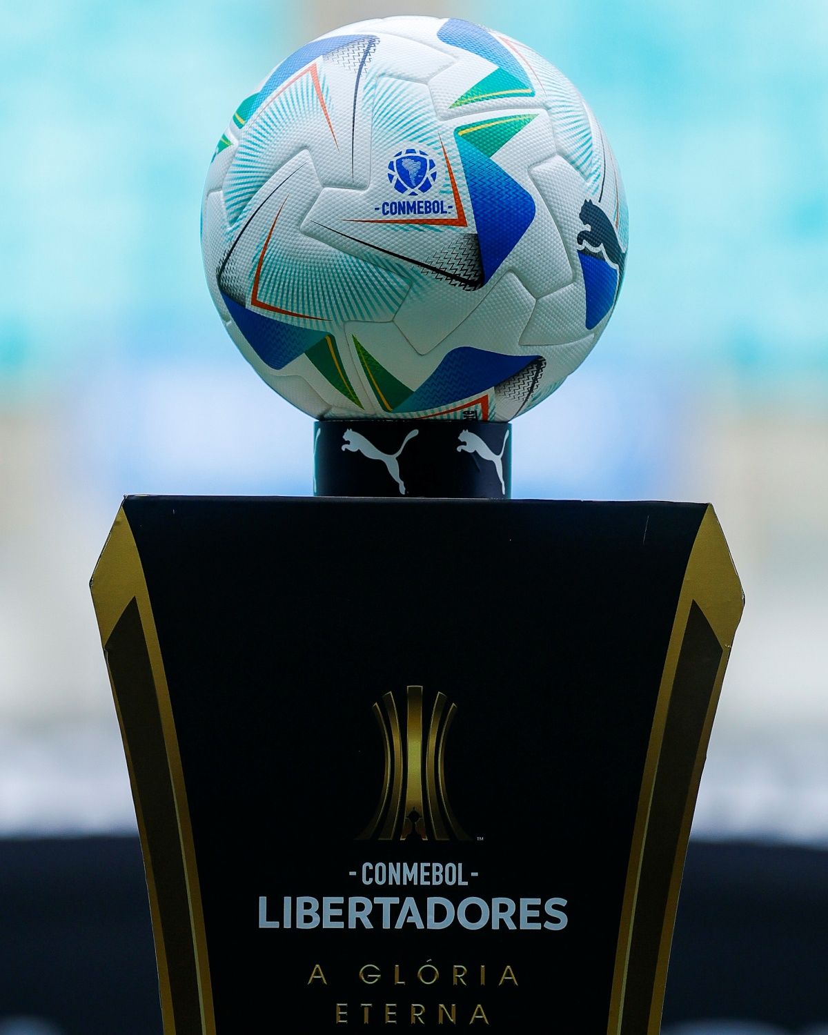 Libertadores. Foto: EC Bahia