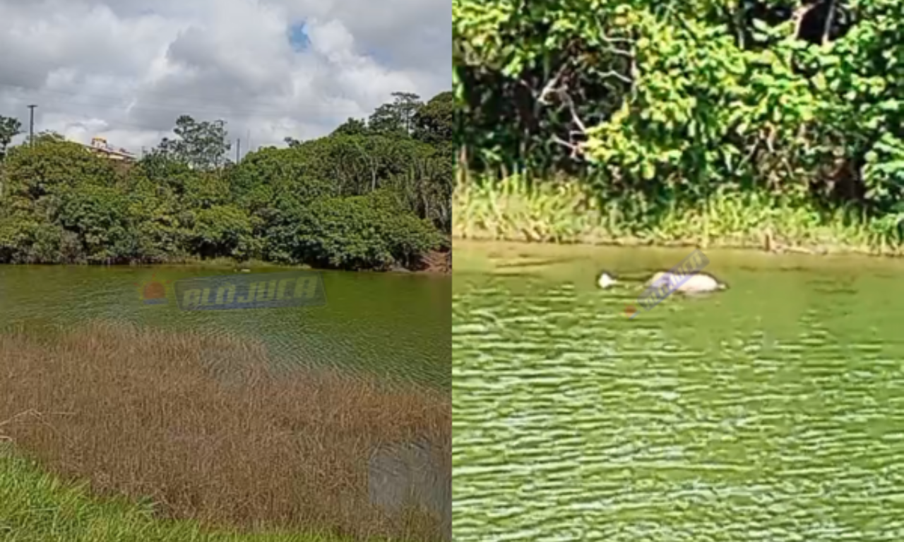 Corpo é encontrado boiando em lagoa às margens da Estrada CIA-Aeroporto.Foto: Reprodução 