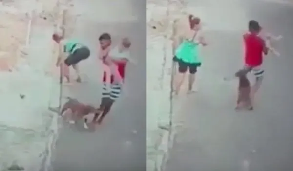 Vídeo mostra homem salvando menino de 5 anos de ataque de pitbull; assista