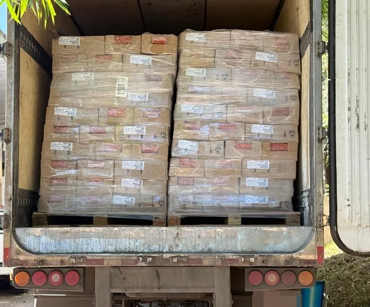 Polícia apreende 25 toneladas de salsichas fora da validade na BR-324