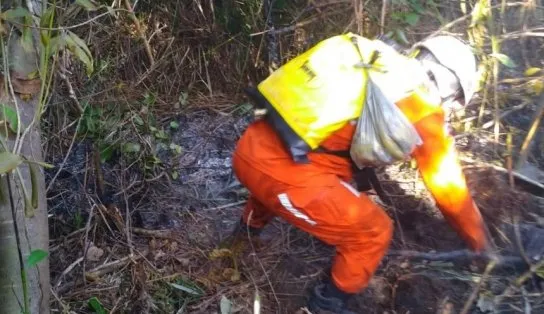 Bombeiros militares combatem incêndio em Reserva Indígena no Sul da Bahia