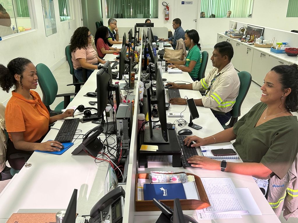 As vagas da Bracell em Alagoinhas são para a área florestal e ficam disponíveis até o dia 12 de fevereiro. Foto: Arquivo/Bracell