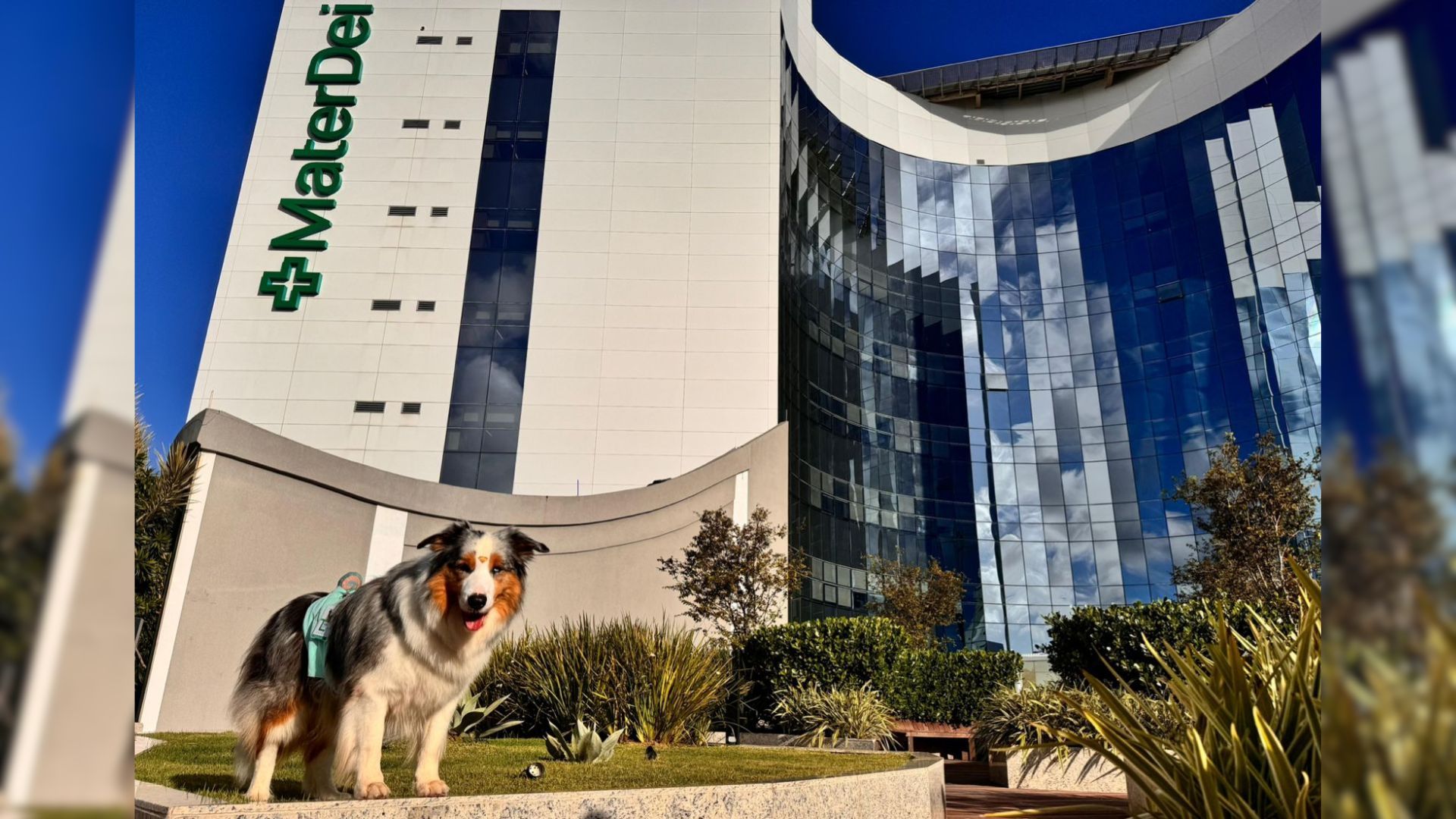 Twix em frente ao hospital Mater Dei Salvador | Foto: divulgação/Mkt Mater Dei