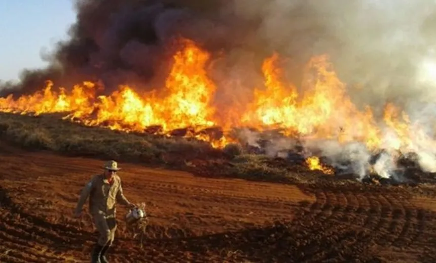 Incêndios já destruíram ao menos 61 mil hectares no Paraguai; diz Secretaria de Emergência Nacional