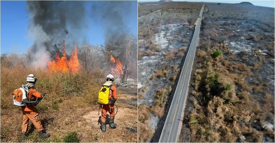 Após dois dias, bombeiros debelam incêndio florestal na BA-160, em Bom Jesus da Lapa