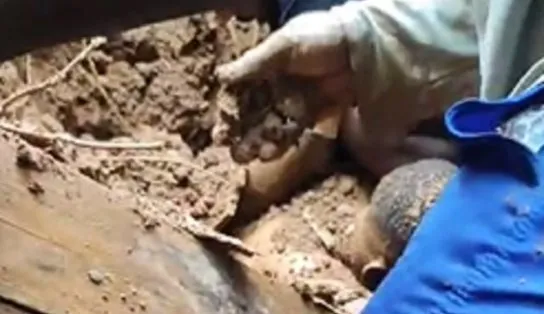 Vídeo mostra momento que grupo faz resgate de homem soterrado em Pernambués