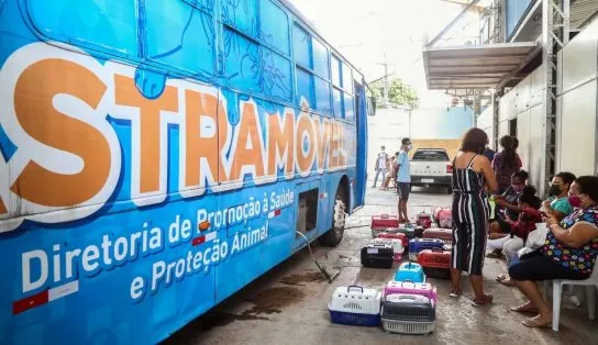 Homem comete maus-tratos a animais no Castramóvel do bairro do Bonfim