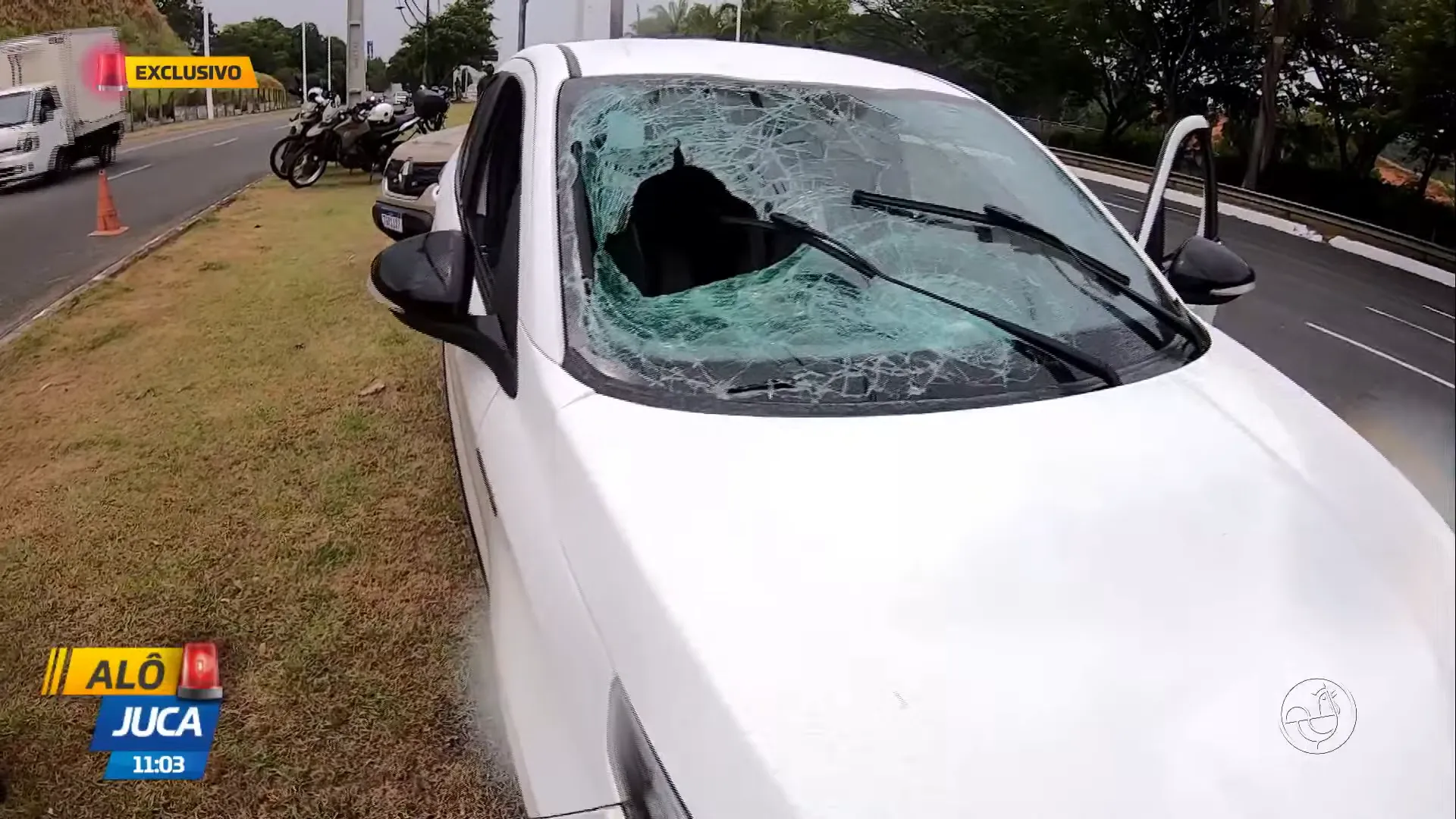 Gari é atropelado na Av. Paralela, em Salvador; motorista estaria no celular