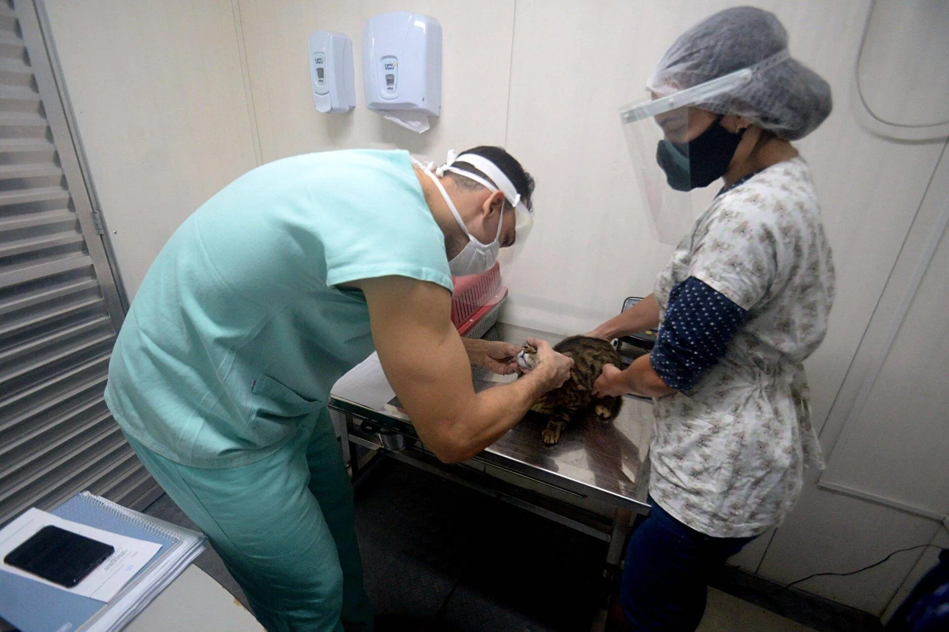 Inscrições abertas para seleção de médicos veterinários da Prefeitura