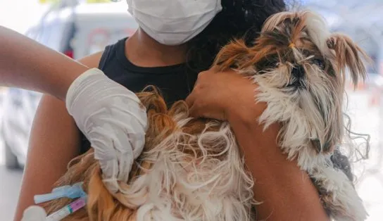 Parque da Cidade e Salvador Norte Shopping recebem Outubro Rosa Pet neste sábado com castramóvel