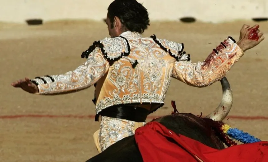Toureiro fica gravemente ferido após levar chifrada no ânus durante duelo em Madri