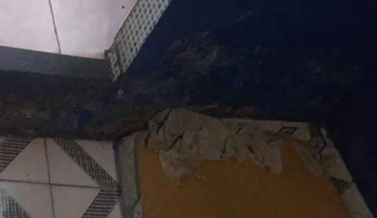 Adolescente de 14 anos que estava desaparecida desde domingo é encontrada morta em Pernambués