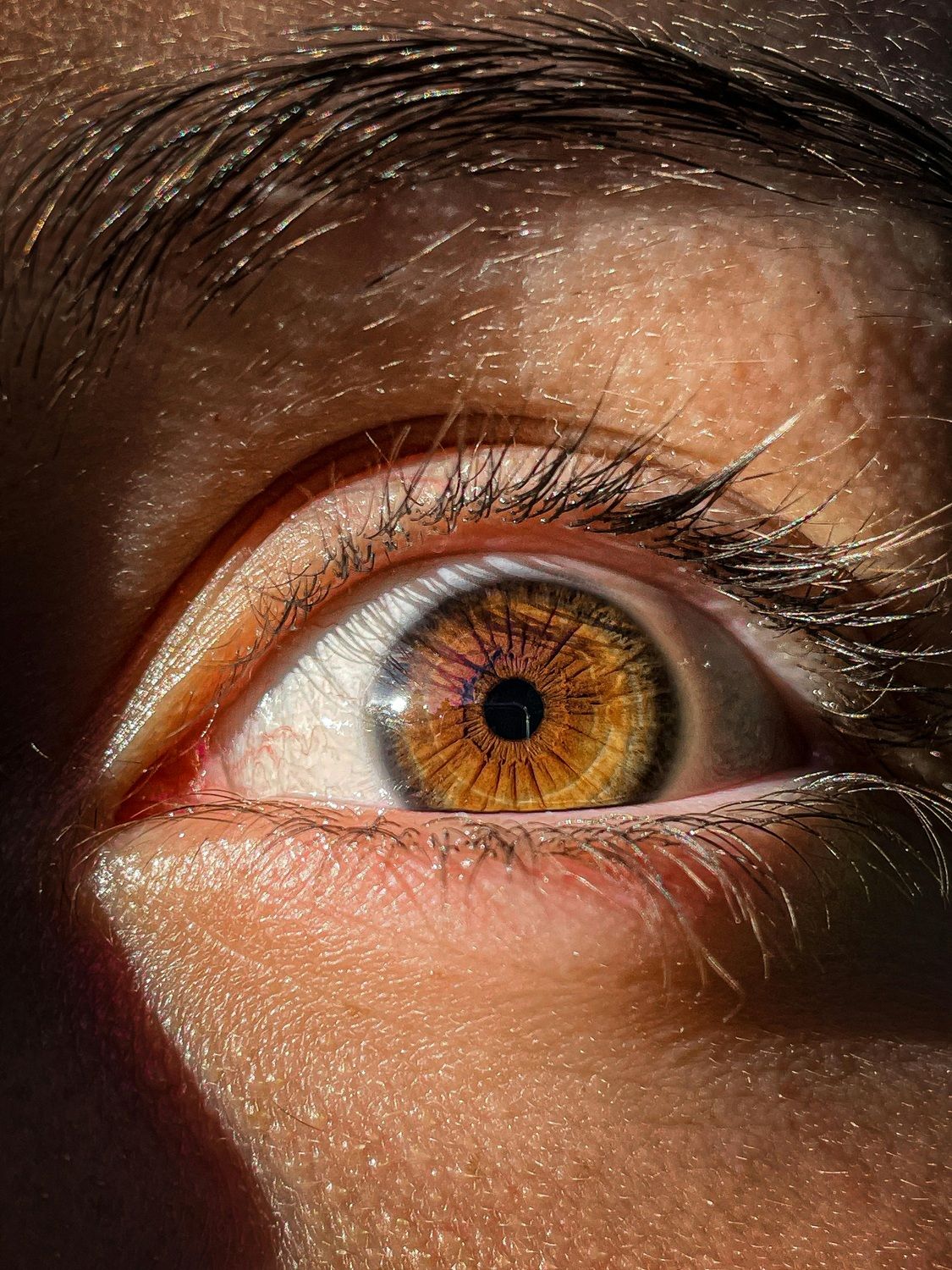 Menos melanina do que os castanhos-escuros, pode refletir tons dourados ou esverdeados. | oto: Ilustrativa/Pexels