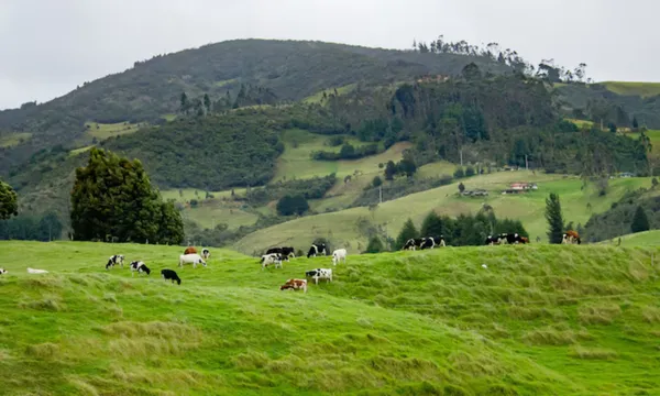 Fazenda. Foto: Imagem Ilustrativa | Freepik