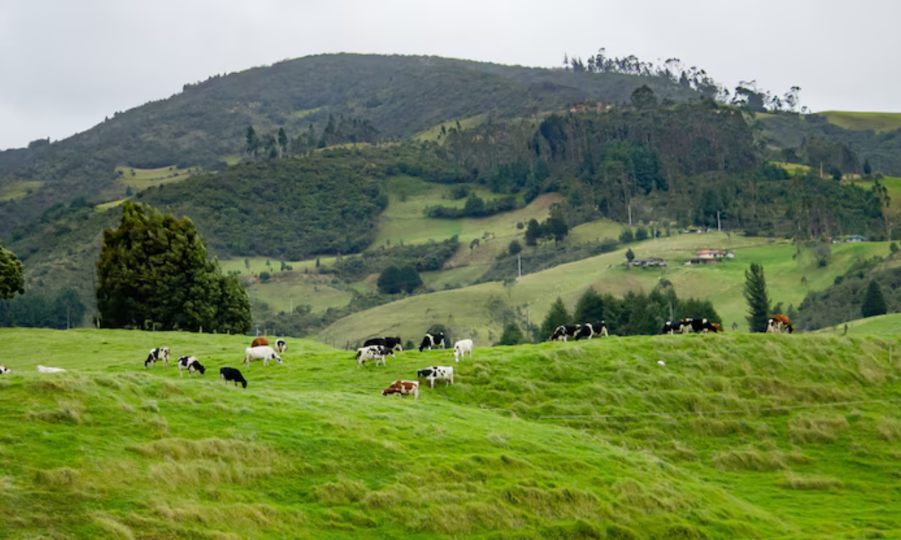 Fazenda. Foto: Imagem Ilustrativa | Freepik